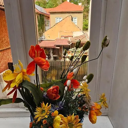 La Dolce Aparthotel Brasov